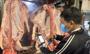 Kiểm soát chặt quy trình phân phối thịt lợn từ sản xuất tới thị trường