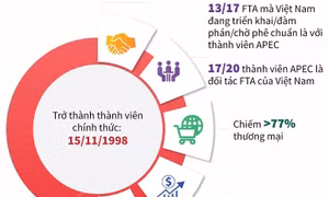 Việt Nam luôn chủ động, tích cực tham gia, đóng góp trong APEC