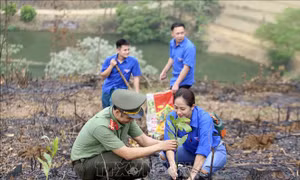 Gieo mầm cho tương lai bền vững
