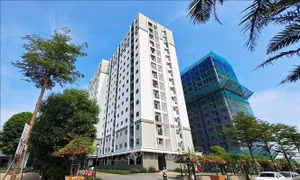 Đã đến lúc coi nhà ở xã hội cho thuê là hạ tầng an sinh
