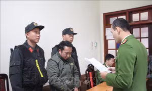 Vụ phá rừng phòng hộ trên đèo Pha Đin: Bắt tạm giam Chủ tịch UBND xã Tỏa Tình