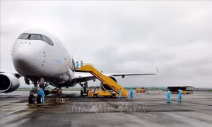 Bố trí khách sạn phục vụ riêng tổ bay của các hãng hàng không nước ngoài đi, đến Việt Nam