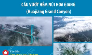 Cây cầu cao nhất thế giới