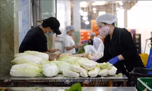 Nâng cao chất lượng, thúc đẩy xuất khẩu rau quả Việt