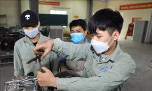 Hướng nghiệp suốt đời - Gắn kết gia đình, nhà trường, người học và doanh nghiệp 