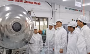 Hoàn thiện chính sách về khoa học, công nghệ, thể chế hóa kịp thời Nghị quyết số 68