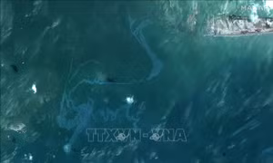 Rò rỉ đường ống dẫn dầu ngoài khơi bang Louisiana