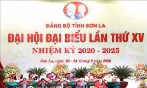 Xây dựng tỉnh Sơn La phát triển xanh, nhanh và bền vững