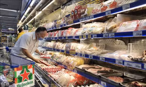 Việt Nam nhập khẩu thịt và các sản phẩm thịt từ 37 thị trường