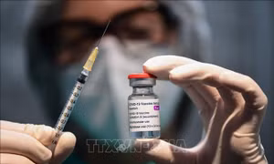 Cơ quan Quản lý dược phẩm châu Âu khẳng định hiệu quả của vaccine AstraZeneca