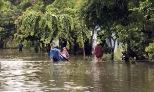 Vùng 'rốn lũ' Đại Lộc chủ động ứng phó với mưa lũ lớn kéo dài
