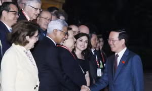 Chủ tịch nước tiếp đại biểu Phong trào Chữ thập đỏ và Trăng lưỡi liềm đỏ quốc tế