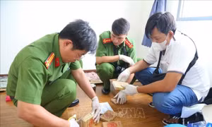 Bắt 'nữ quái' điều hành đường dây ma túy lớn, thu giữ hơn 24,8 kg ma túy