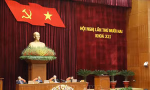 Người tài