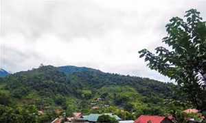 Đường xuân Sín Thầu