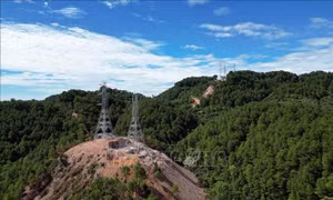 Đường dây 500kV mạch 3 giai đoạn nước rút - Bài 2: Vượt gió, về đích