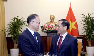 Bộ trưởng Ngoại giao Bùi Thanh Sơn tiếp Trợ lý Bộ trưởng Ngoại giao Trung Quốc