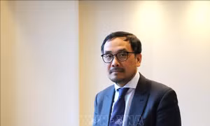 Đột phá theo Nghị quyết 57: Học giả của Đại học Cambridge chỉ ra những lợi thế đối với Việt Nam