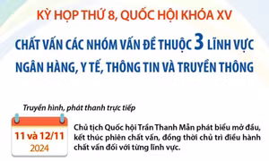 Kỳ họp thứ 8, Quốc hội khóa XV: Chất vấn các nhóm vấn đề thuộc 3 lĩnh vực
