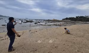 Khẩn trương xử lý ô nhiễm nước thải, bảo vệ môi trường vịnh Nha Trang