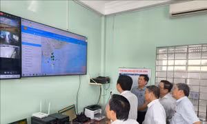 Trên 99% tàu cá Vĩnh Long lắp đặt thiết bị giám sát