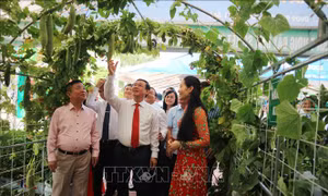 Công nhận thành phố Hà Tĩnh hoàn thành nhiệm vụ xây dựng nông thôn mới