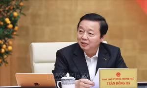 Khẩn trương hoàn thiện hai nghị định quan trọng về đất đai và lấn biển