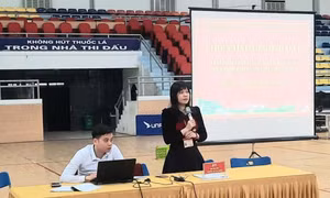 Đấu giá đất tại Sóc Sơn: Giá trúng cao nhất 120,6 triệu đồng/m2