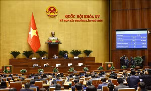 Quốc hội thống nhất sửa 'kỳ họp bất thường' thành 'kỳ họp không thường lệ'