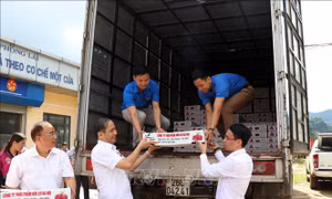 Xuất khẩu 10 tấn thanh long sang thị trường Nga