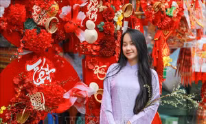 Rực rỡ sắc Xuân giữa lòng phố cổ Hà Nội