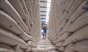 Mỹ dỡ bỏ thuế quan với hơn 1 tỷ USD giá trị nông sản Philippines