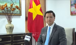 Dấu mốc lịch sử trong quan hệ Đối tác Chiến lược Toàn diện Việt Nam - Ấn Độ