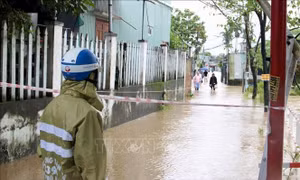 Đà Nẵng cho học sinh nghỉ học phòng tránh bão số 13