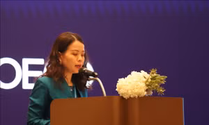 Việt Nam hoàn thành xuất sắc vai trò đồng Chủ tịch Chương trình Đông Nam Á của OECD 