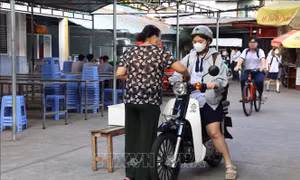 Đồng bộ giải pháp xây dựng văn hóa giao thông trong học đường