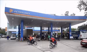 Petrolimex hoãn tổ chức Đại hội đồng cổ đông thường niên năm 2020