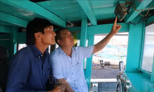 Kiểm soát không để tàu cá không đủ điều kiện hoạt động