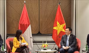 Đồng chí Nguyễn Xuân Thắng gặp lãnh đạo một số chính đảng và Chủ tịch Viện Hành chính Công Quốc gia Indonesia