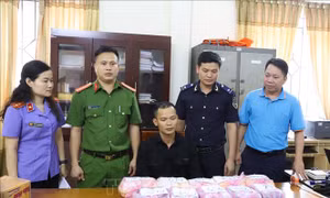 Bắt đối tượng vận chuyển 32.800 viên ma túy tổng hợp