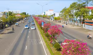Công bố số liệu phục vụ giải phóng mặt bằng cao tốc Gia Nghĩa - Chơn Thành