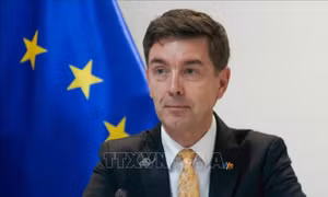 Đại sứ Julien Guerrier: Mở ra 'kỷ nguyên mới' trong quan hệ hợp tác Việt Nam - EU