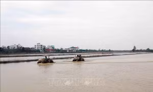 Hải Dương: 11/12 địa phương hoàn thành đổ ải