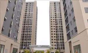 Tìm lối thoát cho doanh nghiệp - Bài cuối: Chính sách tốt phải đi kèm thực thi tốt