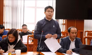 Lào Cai: Tạm đình chỉ công tác Hiệu trưởng để xác minh thông tin về bữa ăn học sinh