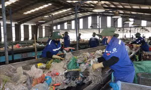 Ngành nhựa chuyển đổi xanh - Bài 1: Khó khăn phân loại rác thải nhựa tại nguồn