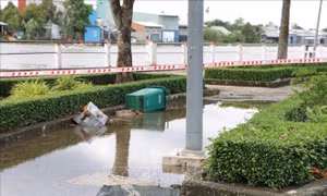 Khẩn trương điều tra vụ 2 học sinh bị điện giật tử vong khi triều cường lên cao