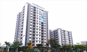Đầu tư bất động sản có nên 'dò đáy'?