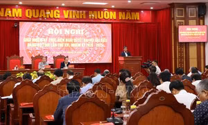 Gia Lai: Thúc đẩy kinh tế phát triển, tạo đà thực hiện thắng lợi Nghị quyết Đại hội XIII