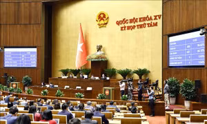 Kế hoạch triển khai thi hành Luật Dữ liệu